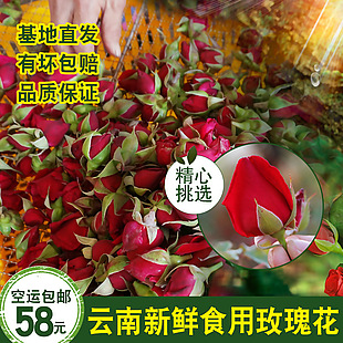 淘宝清新风绿色玫瑰花日常通用食品茶饮主图