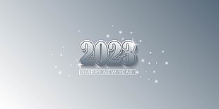 2023银色立体金属字设计