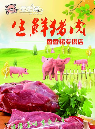 生鲜猪肉宣传海报