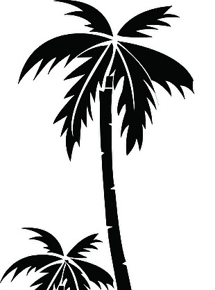 矢量图椰子树