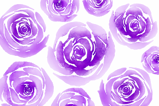 水粉紫色玫瑰花纹理