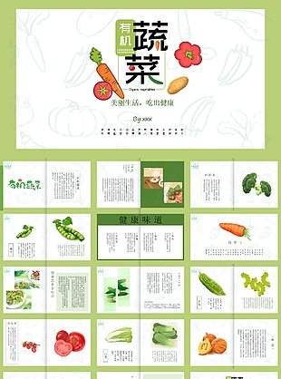 绿色清新有机蔬菜汇报总结PPT模板