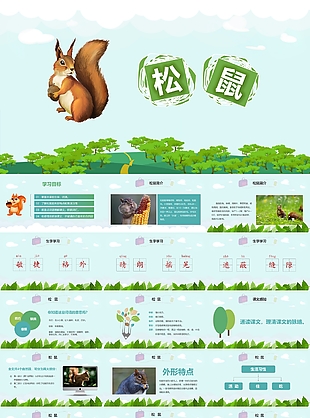 小动物松鼠教学课件介绍PPT模板