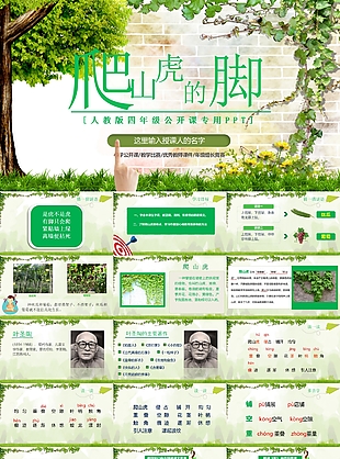 人教版四年级公开课爬山虎的脚PPT模板