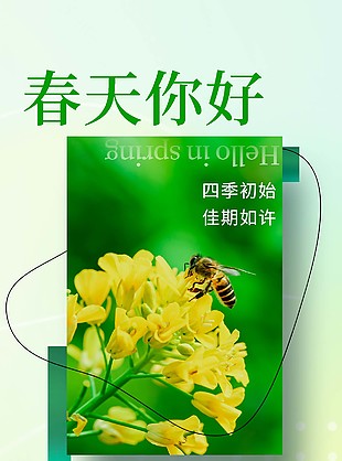 春天你好油菜花摄影图海报素材下载