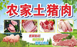 农家土猪肉美食海报