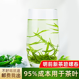 绿色碧螺春茶叶主图下载