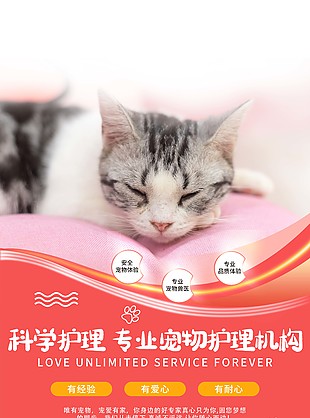 专业宠物护理机构宣传海报素材下载
