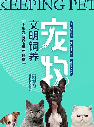 简约文明饲养宠物公益宣传海报图片大全
