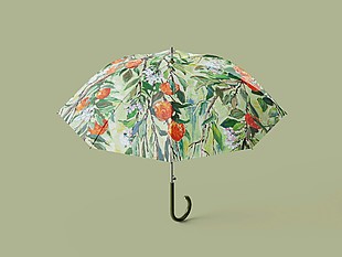 美术馆周边衍生品雨伞样机图片素材