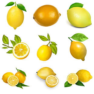 柠檬水果效果素材设计
