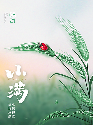 绿色简约小满海报设计