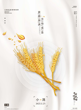 小满节气单图简洁海报设计