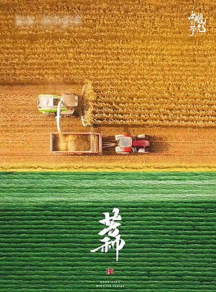 中国传统芒种节气田野背景海报大全