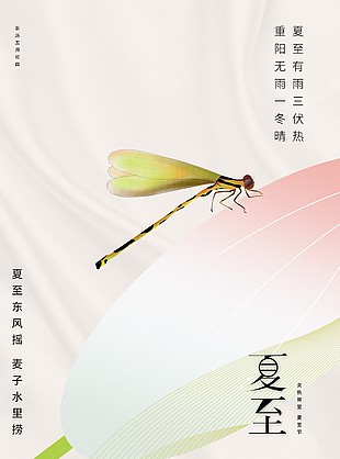夏至节气蜻蜓元素简约海报图片下载