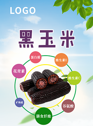 黑玉米X展架设计