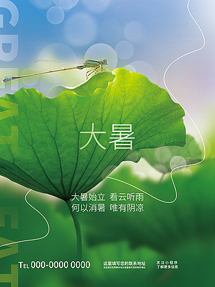清新大暑节气夏日荷叶摄影图海报素材下载