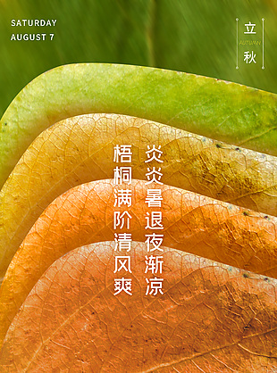 树叶叶脉背景立秋节气海报图片下载