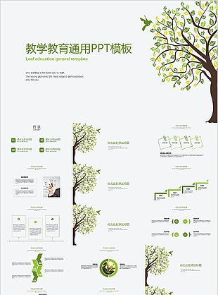 清新简约公开课教学教育通用PPT模板