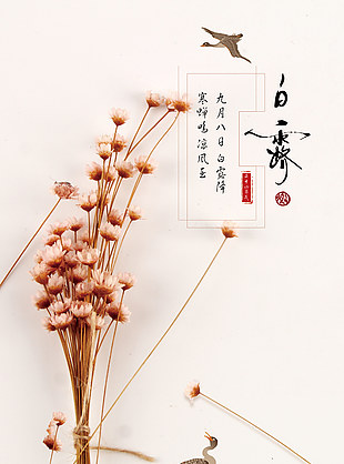 白露简约凉风至海报素材
