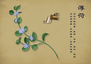 手绘药材元素设计图薄荷