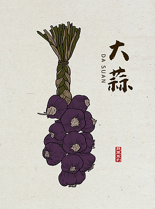 大蒜头手绘插画设计