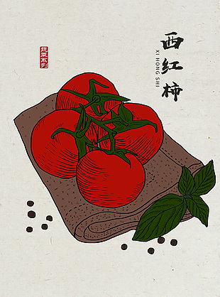 西红柿蔬菜插画设计