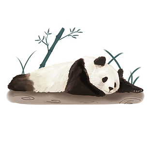 国风卡通手绘国宝大熊猫插画素材设计