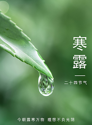 简约质感高清寒露海报素材