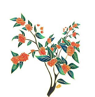 水彩手绘中国风桂花树植物元素设计