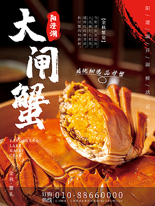 阳澄湖大闸蟹实拍美食海报图片下载