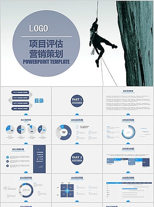 个性简约实用项目评估营销策划PPT模板