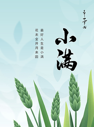 花未全开月未圆小满时节质感海报