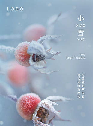 小雪节气摄影图宣传海报下载