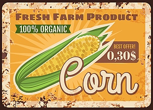水果玉米蔬菜海报