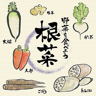 日式根菜美食插画