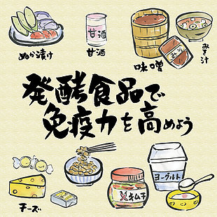 日本传统食物插画