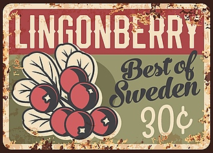 有机天然樱桃海报设计