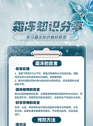 清新自然灾害霜冻预防科普知识海报设计