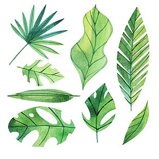 绿色植物树叶卡通手绘装饰