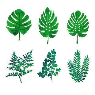 绿色自然植物树木树叶装饰