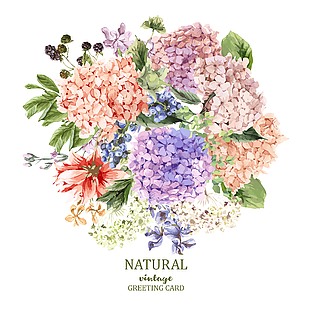 鲜花花卉素材背景