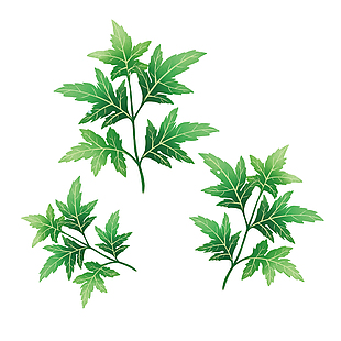 极简树叶绿色清新设计元素
