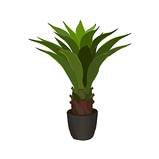 简约手绘绿色剑麻盆栽植物插画素材