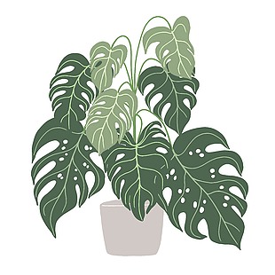 家居绿植时尚插画