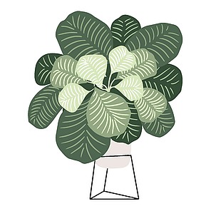 居家日常温馨花草布置