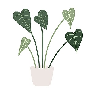 居家设计绿色植物插画