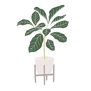 绿色家居绿植设计插画