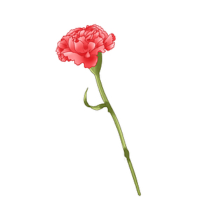 简约鲜花单束手绘设计元素