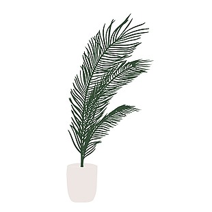 家居主题植物花草插图